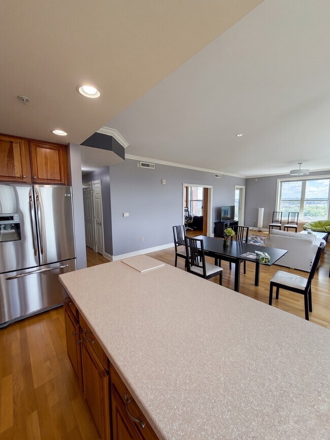 Kitchen - 360 W Washington Ave Unit 1001