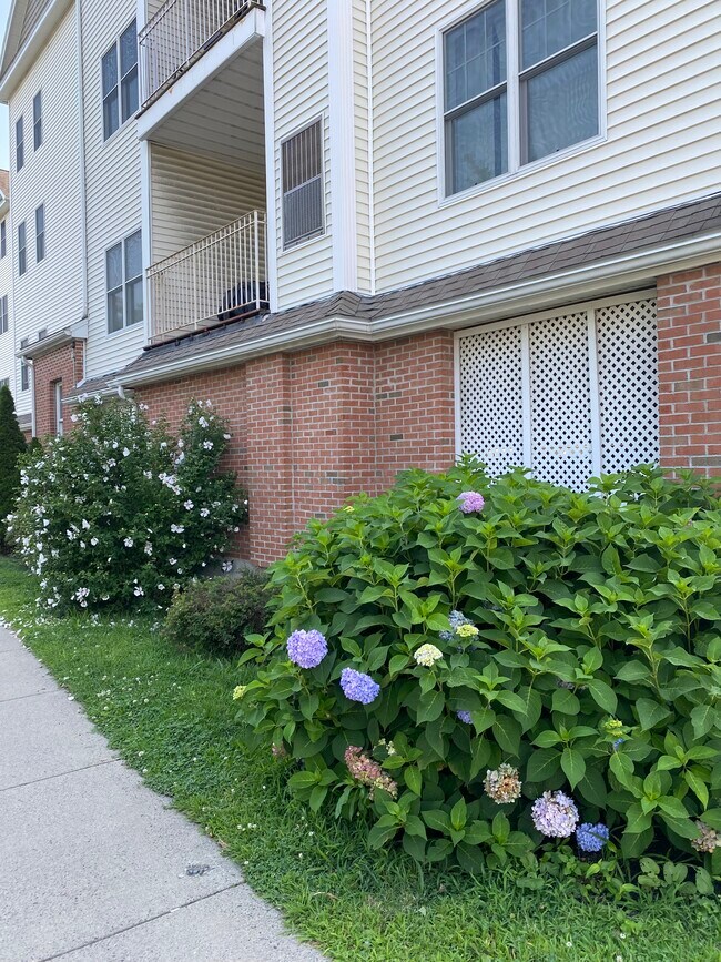 Photo - 51 Pearl St Unidad 206