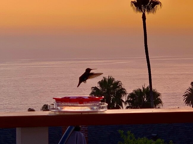 Photo - 31956 Sunset Ave Unidad Studio