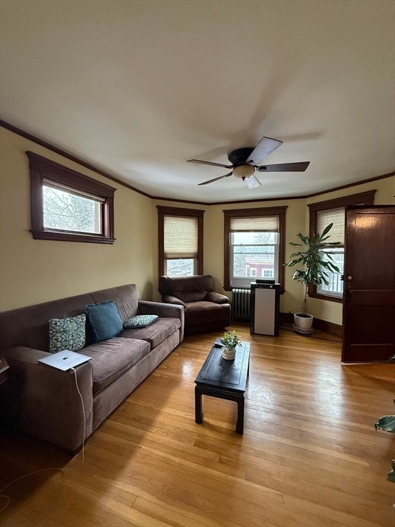 Photo - 7 View South Ave Unit 3