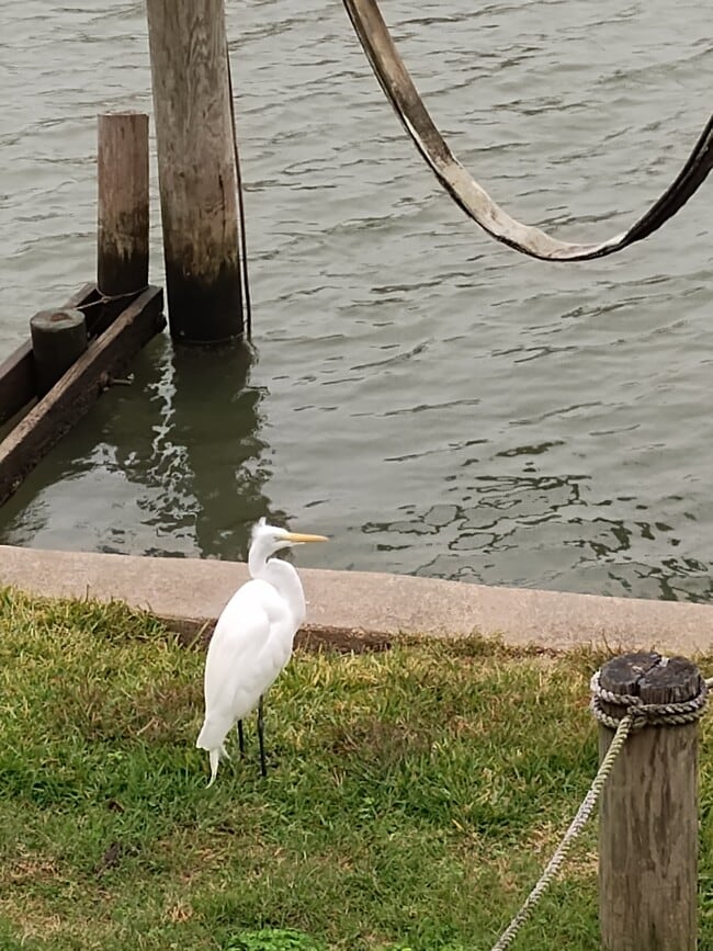 Photo - 4315 Genoa Rd