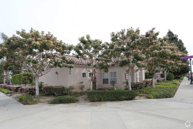 Photo - Villa Solimar