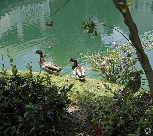 Lake