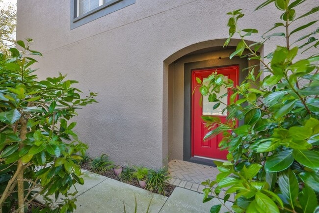 Photo - 1307 Salem Orchard Ln