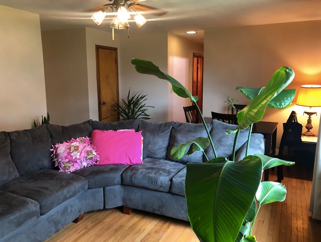 Photo - 410 N Hillsdale Dr