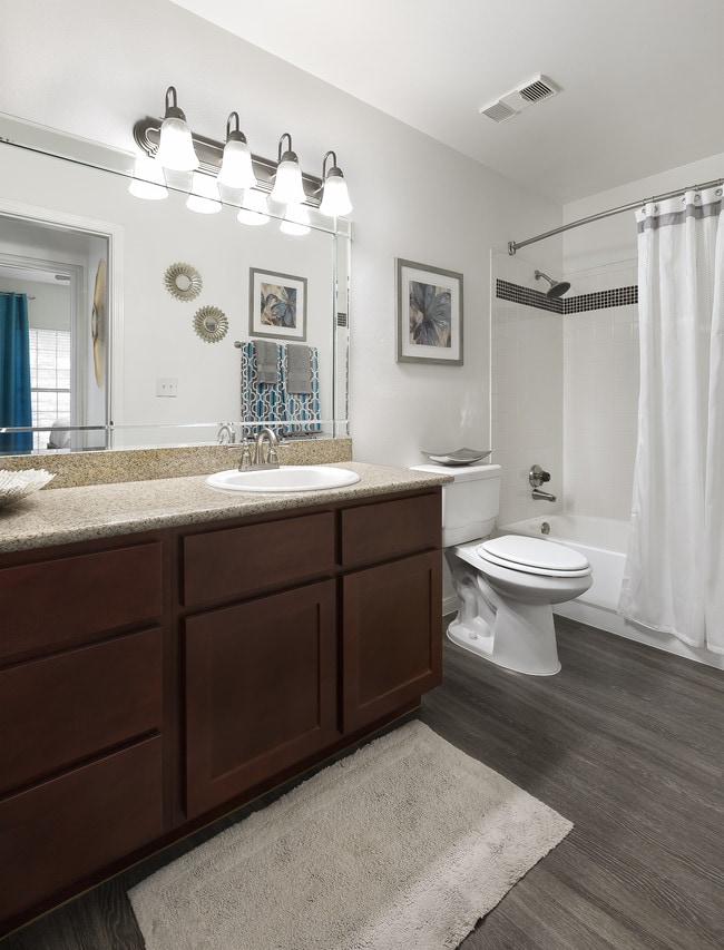 The Village At Gracy Farms apartments — community photo