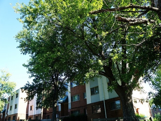 Kings Square Apartments