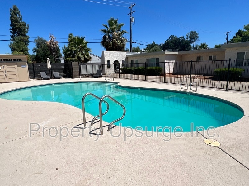 The Palms - The Palms