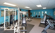 Cable Weight Machines