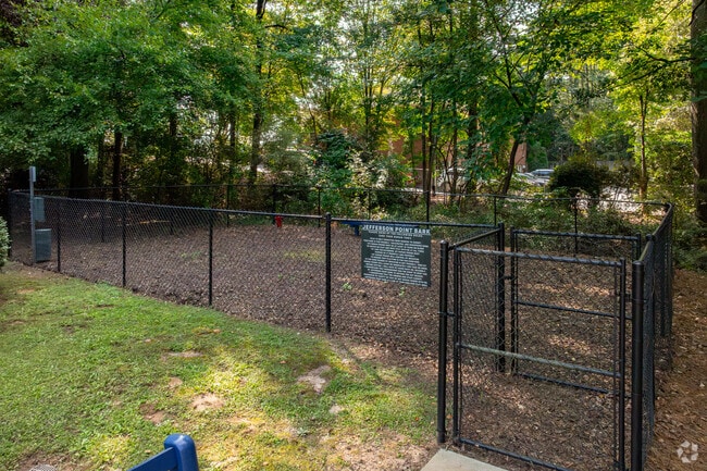 Dog Park
