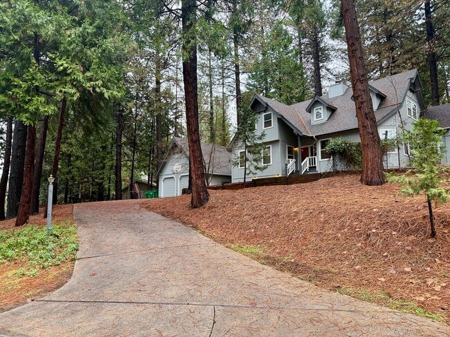 Photo - 11551 Forest View Dr