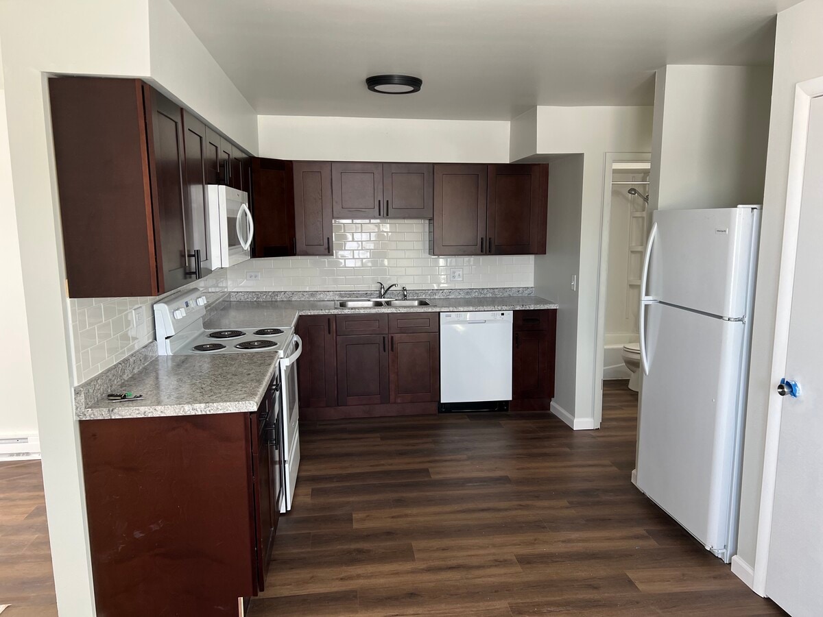 Brand new kitchen with dishwasher - 374 Lynn Dr Apartments Unit 1