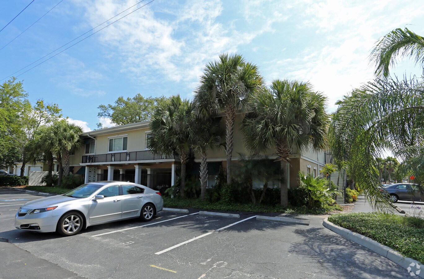 Photo - Palm Grove Apartments