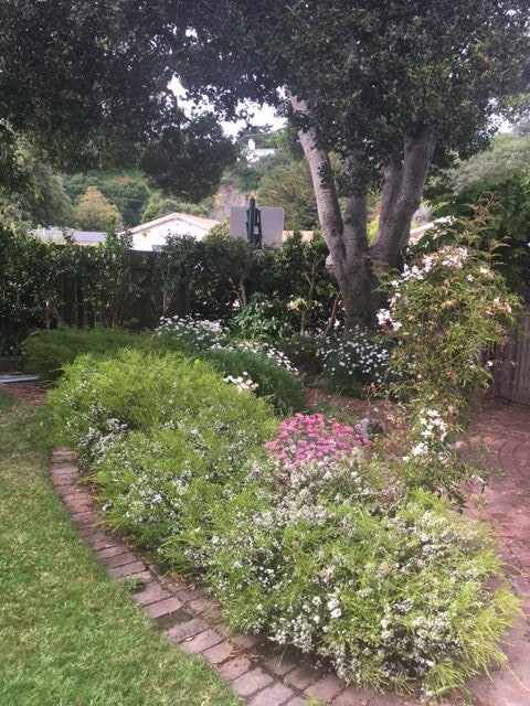 Building Photo - 26413 Birch Pl Unit Carmel Studio