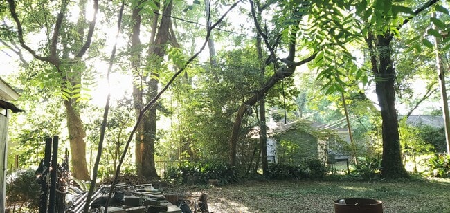 Beautiful oak trees in the backyard - 5014 Hillwood Cir S Unit Studio