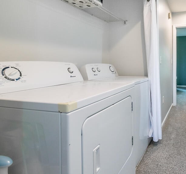 Photo - Alexis Morrison Condo