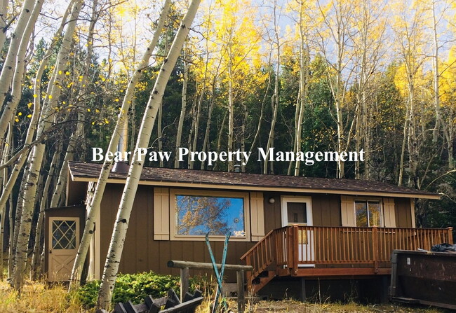 Two Bedroom, One Bath Mountain Home!! - Two Bedroom, One Bath Mountain Home!!