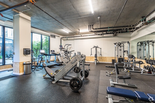 Gimnasio