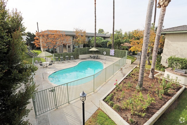 Photo - Robin Meadows