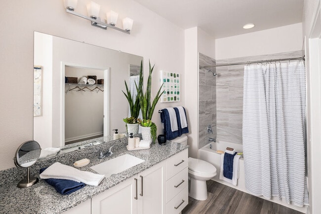 Prose Cypress Pointe