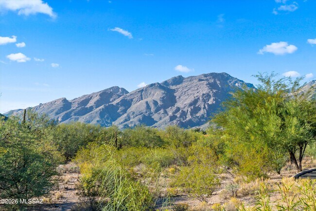 5051 N Sabino Canyon Rd Unit 1213