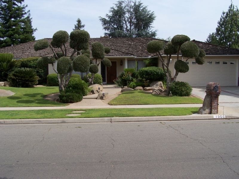 Nice mature landscaping, cool quite home - Nice mature landscaping, cool quite home
