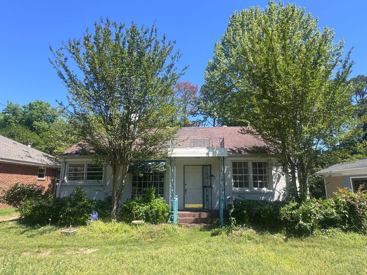 Forest Park - Forest Park