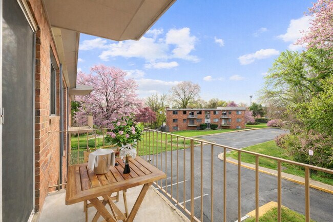 International Apartments
