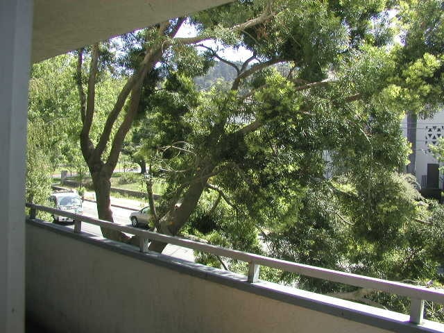 Photo - 2614 Warring Street Unit 5