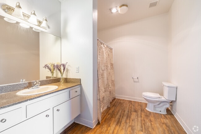 1BR, 1BA - 1,000SF - Sun Terrace