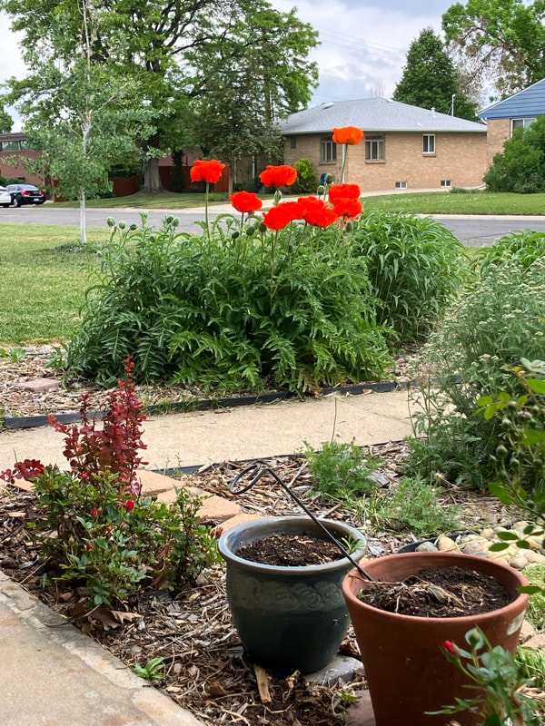 Photo - 5735 Everett St