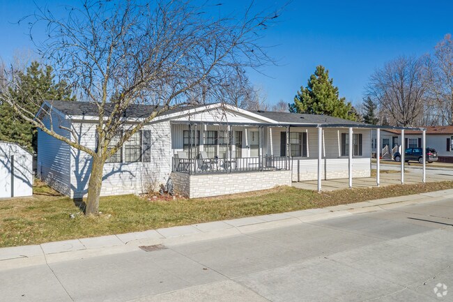 Shelby Forest - Shelby Forest