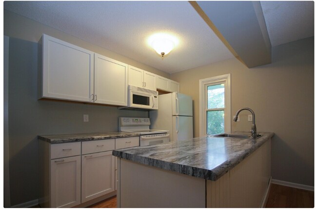 open kitchen - 5662 Wood Duck Cir