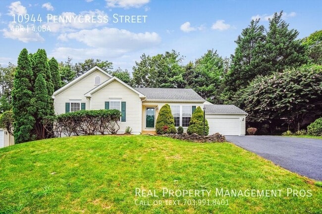 Building Photo - 10944 Pennycress St Rental