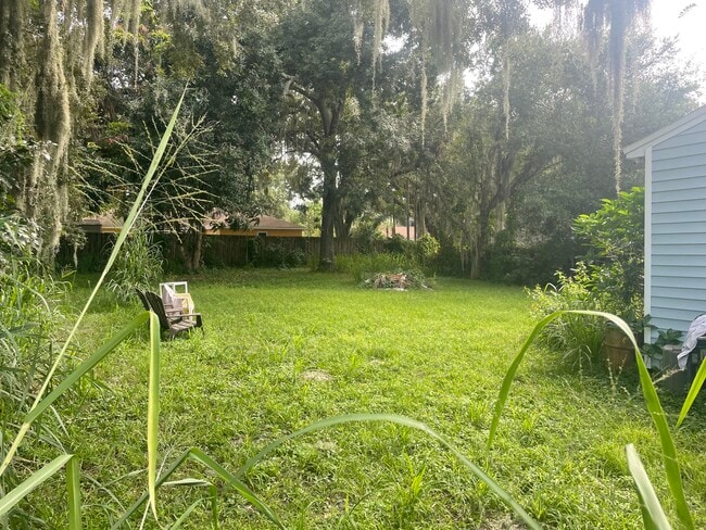 Huge yard - 1276 Panama Dr