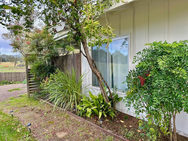 Photo - 6181 Wise Rd