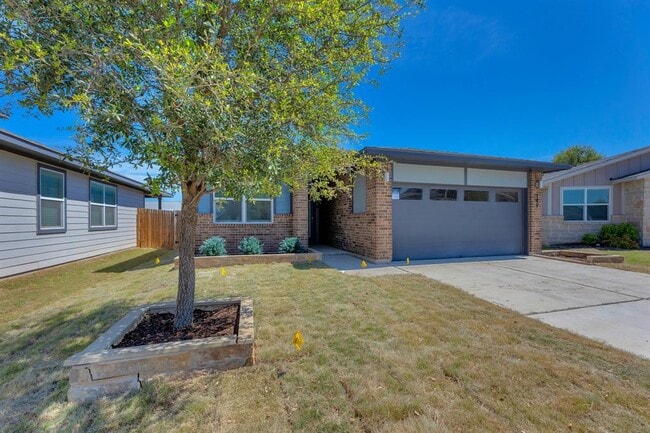 Photo - 149 Filifera Ct