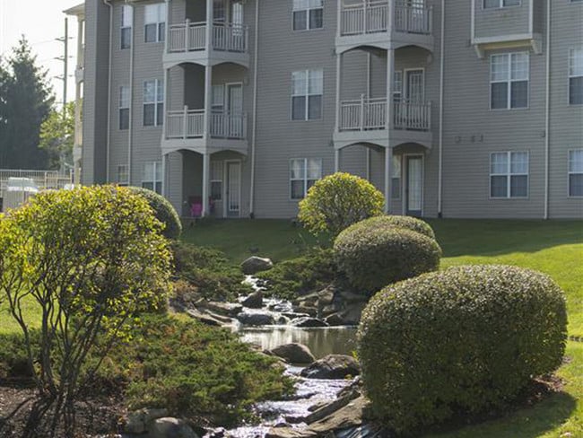 Lush Landscaping