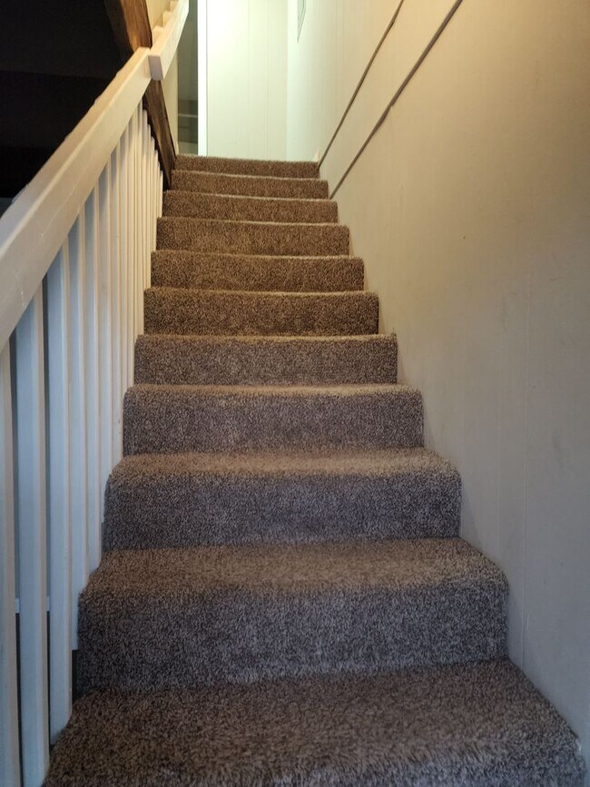 Buffalo Ridge Apartments Johnson City, TN