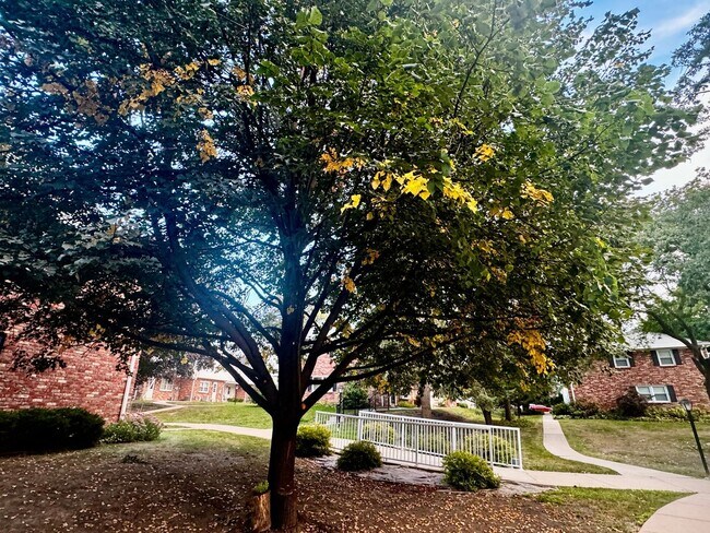 Photo - 2 Bedroom 1.5 bath Condo in Milwaukee