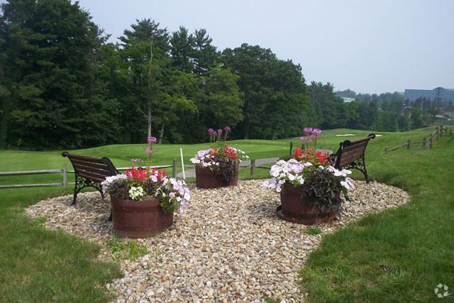 Recreation Area