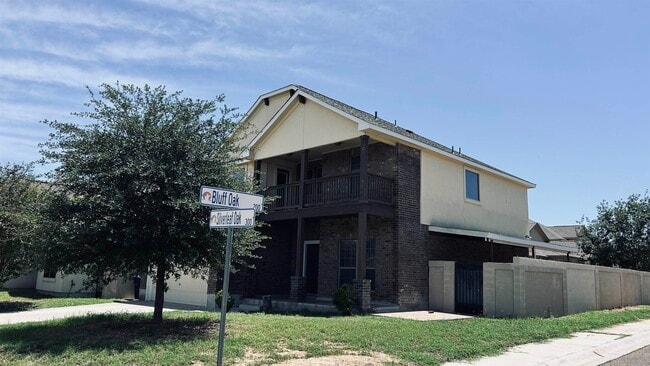 332 Silverleaf Oak