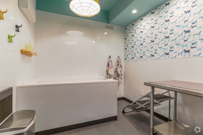 Dog Wash and Pet Spa