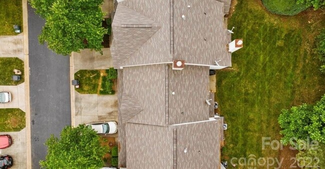 Cougar lane