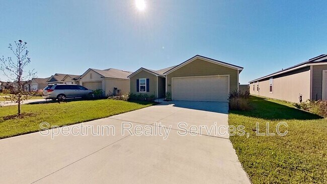 Photo - 12452 Rubber Fig Ter