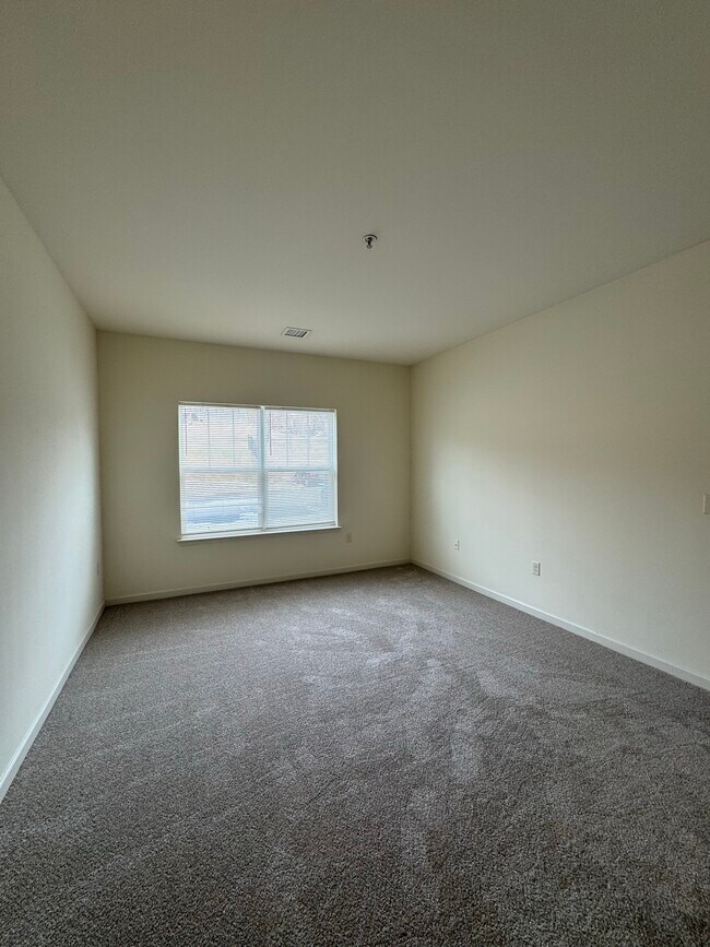 Plano de la casa Sassafras - Dormitorio principal