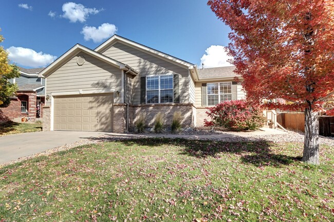 4 bedroom 3 bathroom Ranch Home in Metzler... - 4 bedroom 3 bathroom Ranch Home in Metzler...