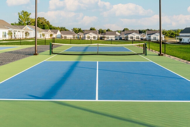 Pickleball Courts
