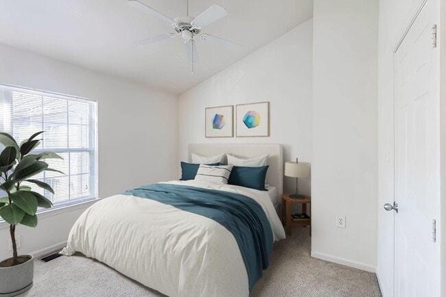 Photo - Halstead Alexandria