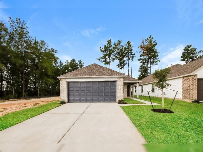 Photo - 13588 White Ibis St House